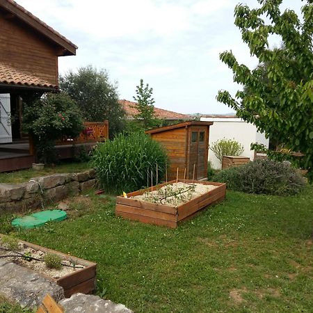 Ecolodge Bellevue Albi Exteriér fotografie