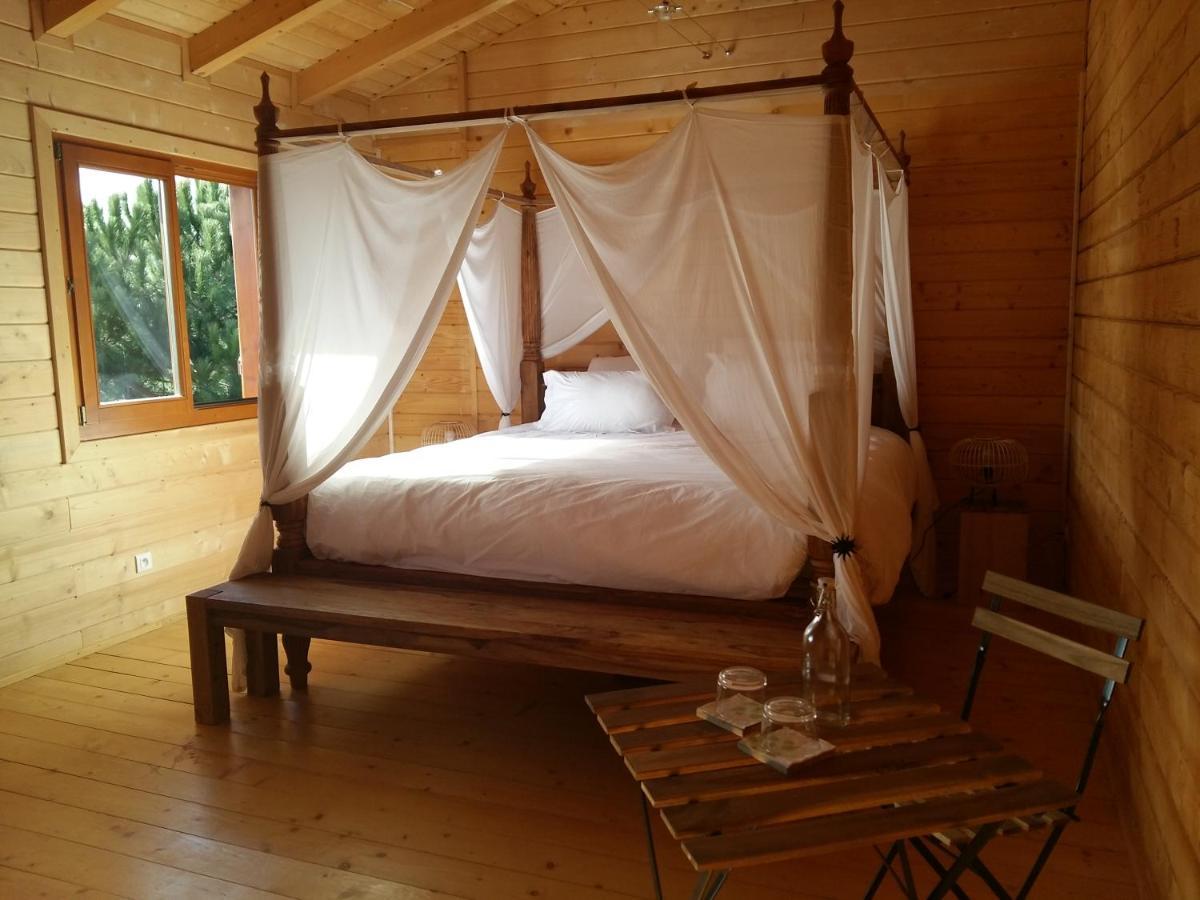 Ecolodge Bellevue Albi Exteriér fotografie